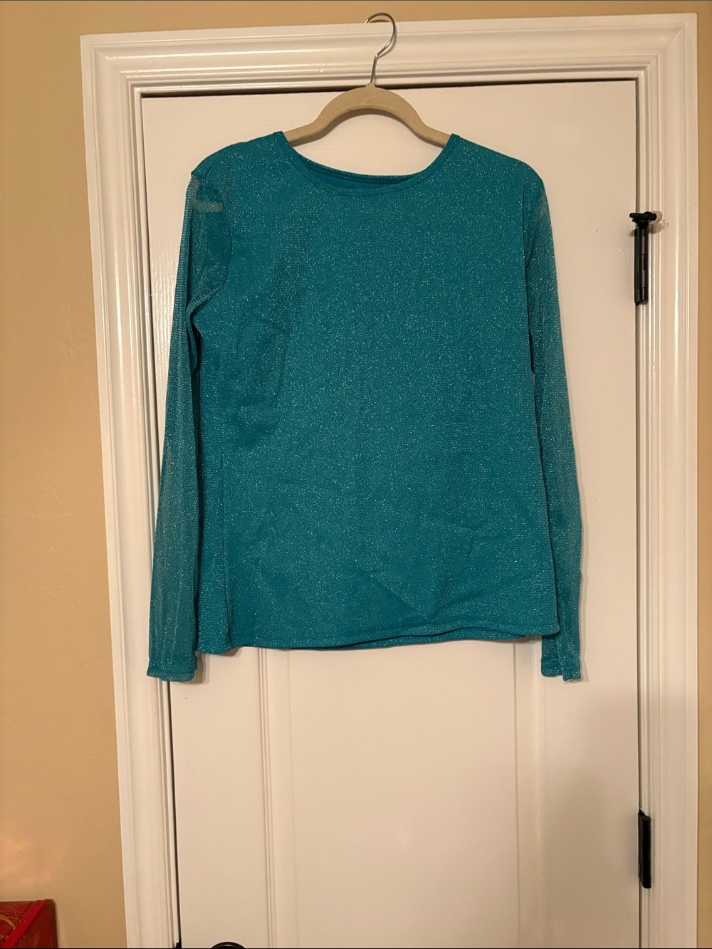 Sparkling Teal Long Sleeve Top